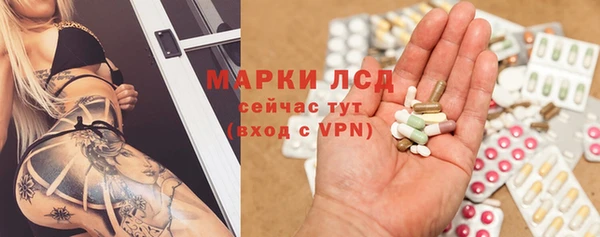 прущие грибы Нефтекумск