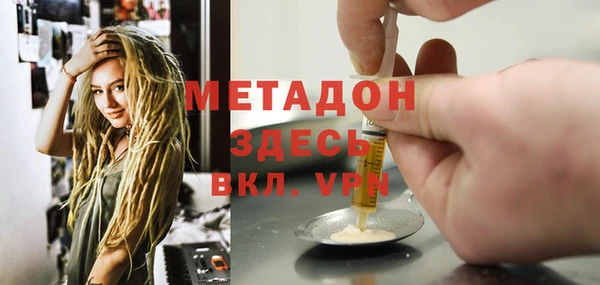 прущие грибы Нефтекумск