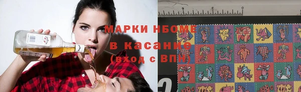 прущие грибы Нефтекумск