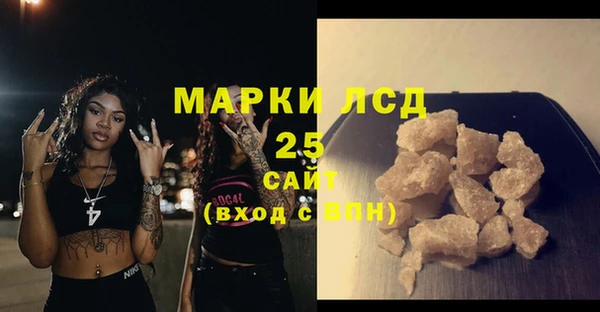 прущие грибы Нефтекумск