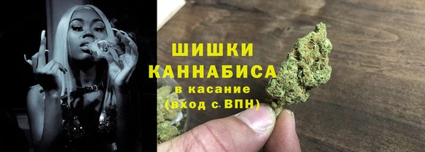 прущие грибы Нефтекумск
