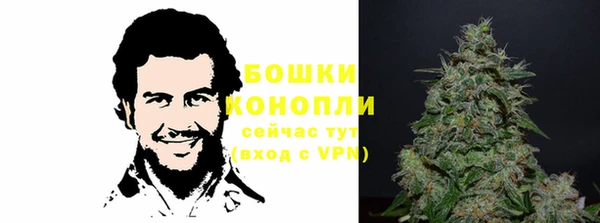 прущие грибы Нефтекумск