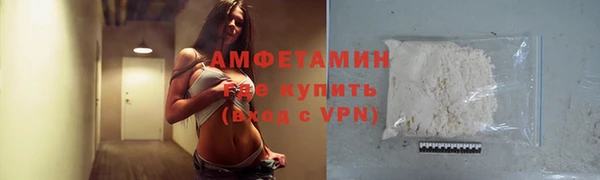 прущие грибы Ессентукская