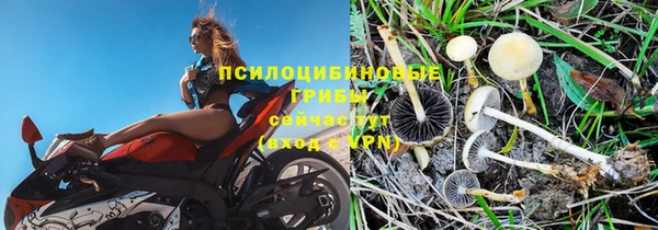 дживик Нефтегорск