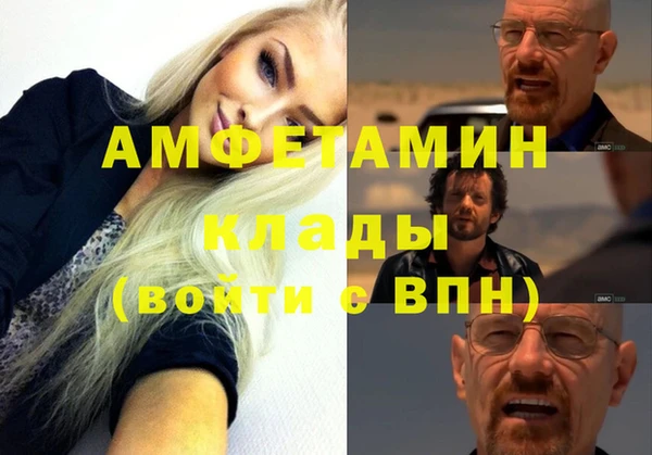 прущие грибы Нефтекумск
