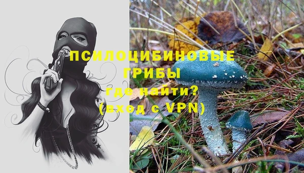 МДПВ Санкт-Петербург