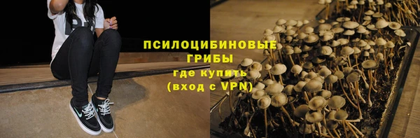дживик Нефтегорск