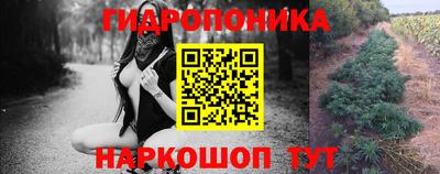 a pvp Берёзовский