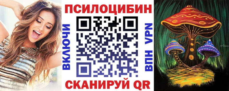 даркнет сайт  Волжск  Галлюциногенные грибы Psilocybine cubensis 