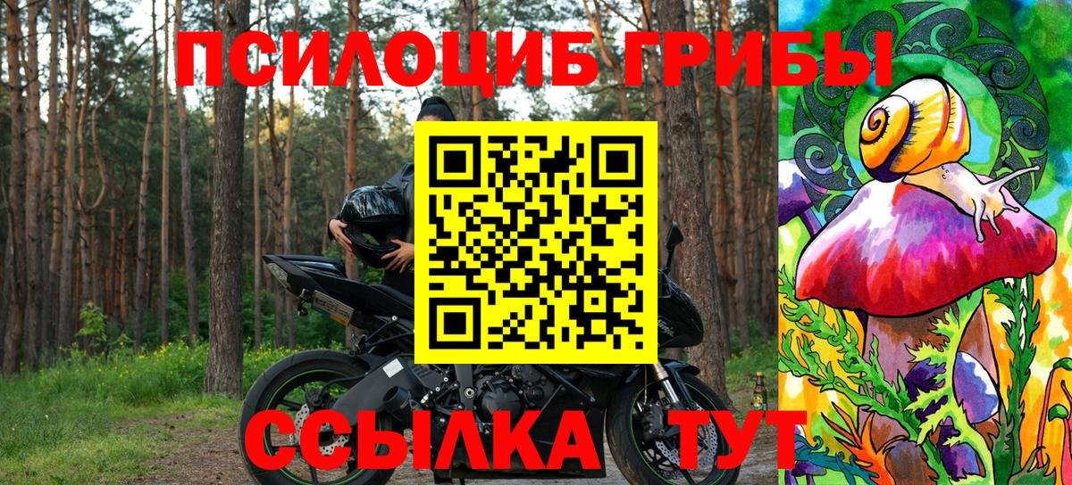 Галлюциногенные грибы Psilocybine cubensis  Псилоцибиновые грибы ЛСД  Волжск 