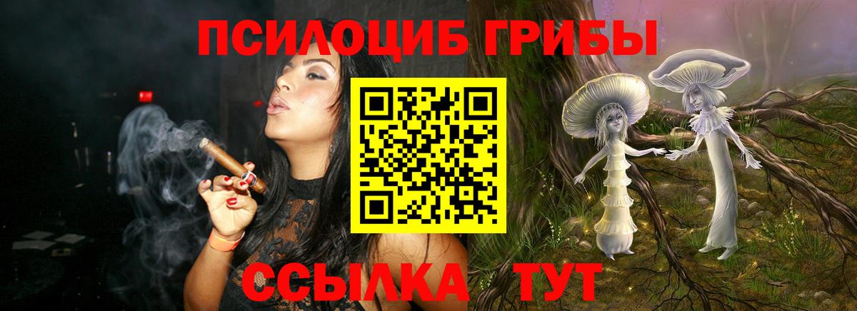 Псилоцибиновые грибы мицелий  Вход с VPN  наркота  Волжск 