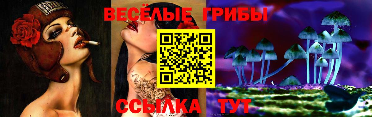 Псилоцибиновые грибы мицелий Волжск