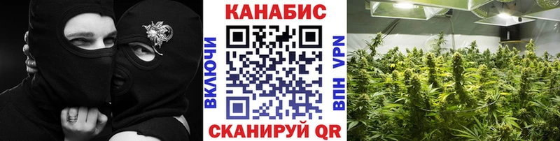 Шишки марихуана OG Kush  Волжск 